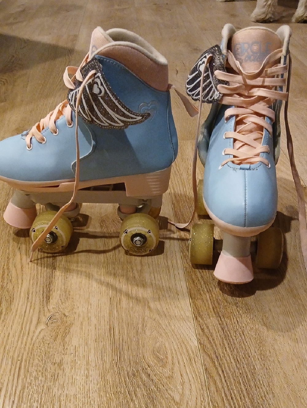 Cotton Candy Circle Society Rollerskates With Wings Girls Size 3-7 Adjustsble